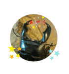 カンシャ（個別スタンプ：7）