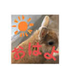いおのスタンプ2（個別スタンプ：3）