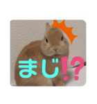 いおのスタンプ2（個別スタンプ：11）