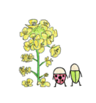 花とバッタとテントウ虫（個別スタンプ：5）