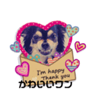 ちょっとかわいい犬（個別スタンプ：3）