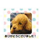 ゲロバズ8（個別スタンプ：18）