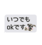 Mシュナウザーの丁寧な挨拶 in ふきだし（個別スタンプ：21）