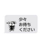 Mシュナウザーの丁寧な挨拶 in ふきだし（個別スタンプ：24）