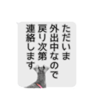 Mシュナウザーの丁寧な挨拶 in ふきだし（個別スタンプ：29）