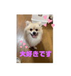 りぃぽぽSTAMP（個別スタンプ：6）