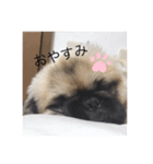 チャイくんのスタンプ（個別スタンプ：2）
