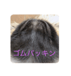 チャイくんのスタンプ（個別スタンプ：6）