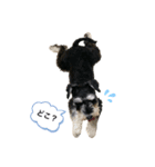 MYDOGSSS（個別スタンプ：6）