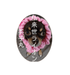茶子丸の非日常生活（個別スタンプ：6）