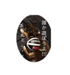 茶子丸の非日常生活（個別スタンプ：7）