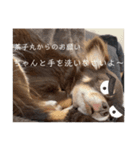 茶子丸の非日常生活（個別スタンプ：11）