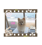 ぴーす スマイル2（個別スタンプ：2）