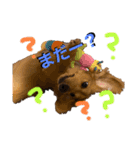 ウィル日常生活スタンプoriginal❶（個別スタンプ：16）