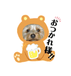 ヒットのまいにち（個別スタンプ：4）