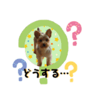 ヒットのまいにち（個別スタンプ：14）