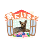 ヒットのまいにち（個別スタンプ：16）