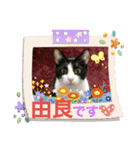 由良❤️スタンプ（個別スタンプ：2）