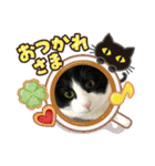 由良❤️スタンプ（個別スタンプ：6）
