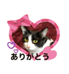 由良❤️スタンプ（個別スタンプ：12）