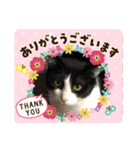 由良❤️スタンプ（個別スタンプ：13）