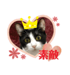 由良❤️スタンプ（個別スタンプ：15）