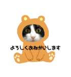 由良❤️スタンプ（個別スタンプ：20）