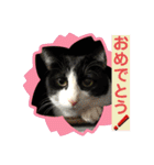 由良❤️スタンプ（個別スタンプ：32）