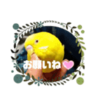 コマちゃんですけど。（個別スタンプ：5）