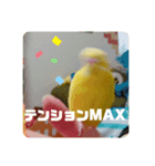 コマちゃんですけど。（個別スタンプ：7）
