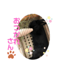 まめスタンプ 0420（個別スタンプ：8）
