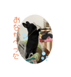 まめスタンプ 0420（個別スタンプ：11）