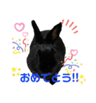 まめスタンプ 0420（個別スタンプ：14）