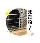 まめスタンプ 0420（個別スタンプ：15）