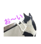 紋次郎です。（個別スタンプ：2）