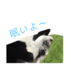 紋次郎です。（個別スタンプ：7）