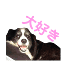 紋次郎です。（個別スタンプ：14）