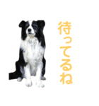 紋次郎です。（個別スタンプ：15）