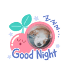 ダックス「みみぃ」（個別スタンプ：2）