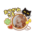 ダックス「みみぃ」（個別スタンプ：8）