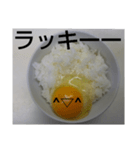 ラッキーEGGとアンラッキーEGG（個別スタンプ：29）