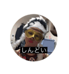 ファッション企画コラボ①（個別スタンプ：4）