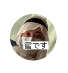 ファッション企画コラボ①（個別スタンプ：6）