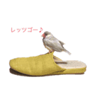 日々クルタークⅡ（個別スタンプ：1）