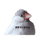 日々クルタークⅡ（個別スタンプ：2）