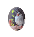 日々クルタークⅡ（個別スタンプ：5）