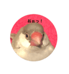 日々クルタークⅡ（個別スタンプ：8）