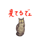 うちのくるみとなかまたち 2（個別スタンプ：7）