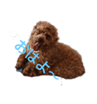 ららミミ子（個別スタンプ：4）