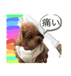 可愛い❤️ワンちゃんか（個別スタンプ：2）